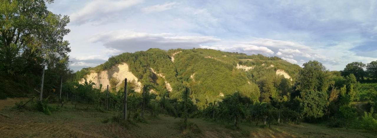 브리시그헬라 Agriturismo Il Palazzo 빌라 외부 사진